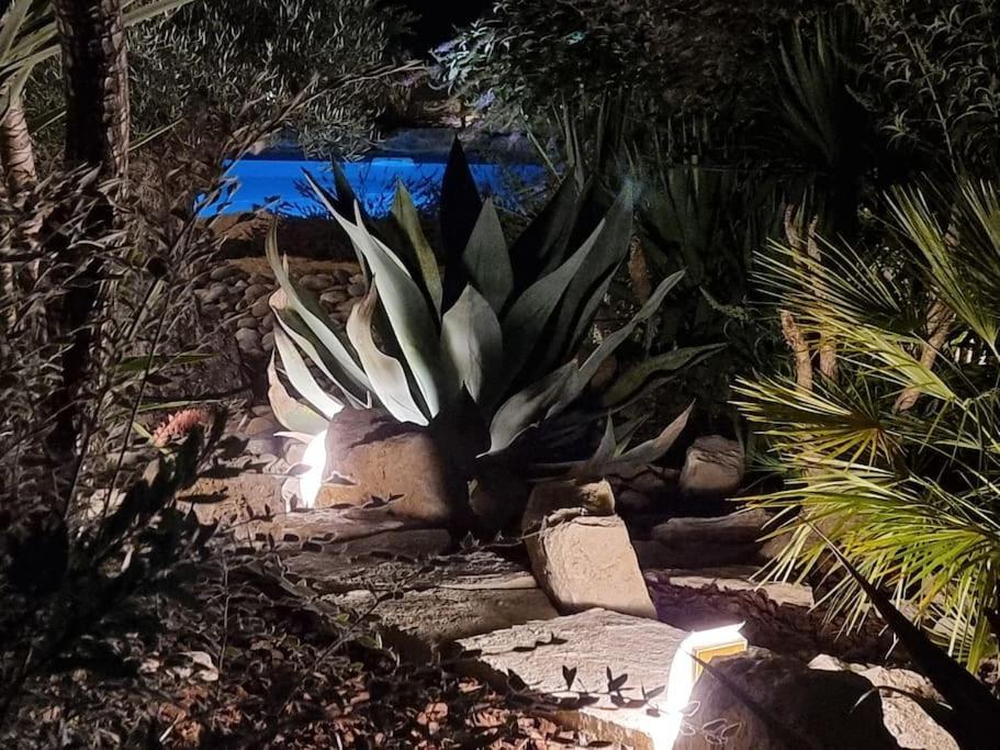 Une Oasis Au Pays De Cezanne Aix-en-Provence Exterior foto